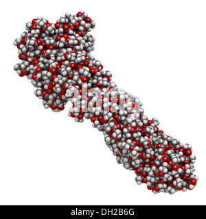 Polymilchsäure (PLA, Polylactid) Säure Biokunststoff, chemische Struktur. Kompostierbaren Polymer in medizinischen Implantaten, etc. verwendet Stockfoto