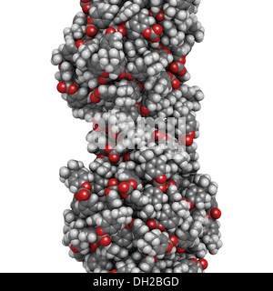 Polycarbonat (PC) aus Kunststoff, chemische Struktur. Hergestellt aus Phosgen und Bisphenol A. Stockfoto