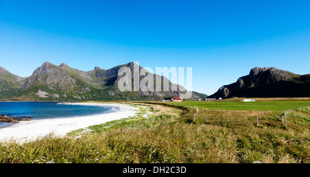 Weißen Sandstrand auf dem Nordatlantik, Bucht mit grünen Wiesen, Flakstad, Flakstadøy, Lofoten, Nordland, Norwegen Stockfoto