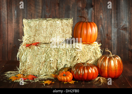 Rustikale Herbstszene mit Kürbissen auf Holz Grunge Hintergrund unter dem Motto Stockfoto