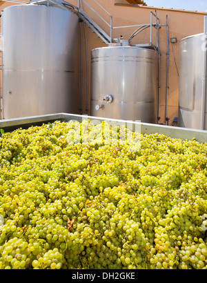 Chardonnay Wein mit Trauben und Gärung Edelstahl Panzer Schiffe Stockfoto