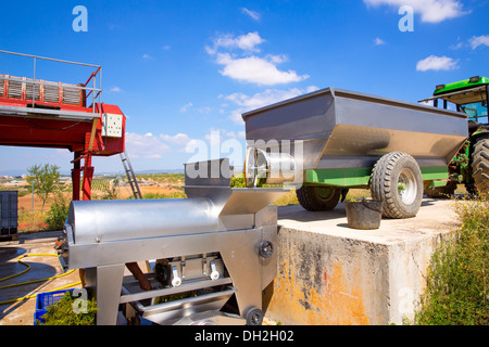 Chardonnay Korkenzieher Brecher Abbeermaschine im Weinbau mit Trauben Stockfoto