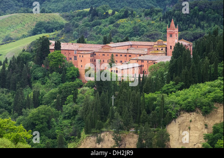 Monte Oliveto 05 Stockfoto