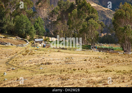 Eine Farm Siedlung im Huascaran National Park in den Anden Südamerikas. Stockfoto