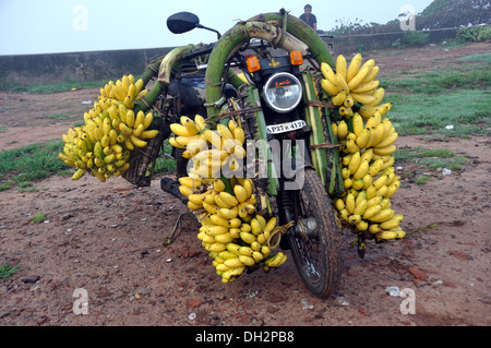 Bananen auf Motorrad in Rajahmundry Andhra Pradesh, Indien Stockfoto