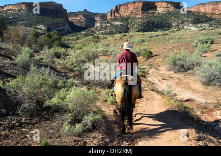 Modernen Cowboy zu Pferd reitet sein Pferd in der Wüste in der Nähe von Colorado National Monument, Colorado, USA Stockfoto