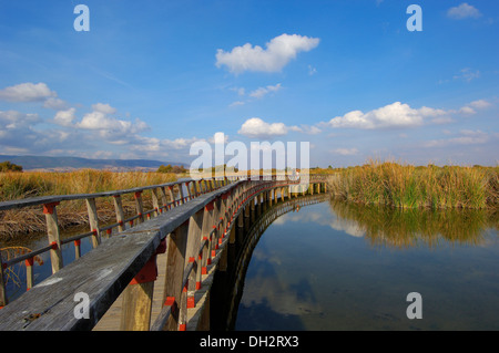 Daimiel, Tablas de Daimiel Nationalpark, Ciudad Real Provinz, Castilla La Mancha, Spanien. Stockfoto