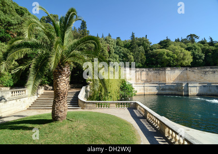 Gärten im klassischen Stil Jardins de la Fontaine mit Palmenbaum und Zierpool Nimes Gard France Stockfoto