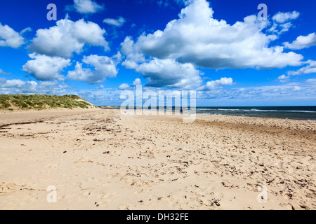 Eine Handvoll Hund Spaziergänger am menschenleeren Sandstrand von Druridge Bucht, Northumberland, Großbritannien Stockfoto