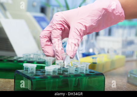 Molekulare Biologie Stockfoto