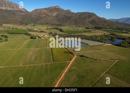 Paarl, Kapstadt-Weinstraße Stockfoto