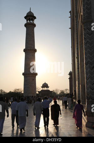 Minarett neben dem Taj Mahal in Hintergrundbeleuchtung, Agra, Uttar Pradesh, Indien, Asien Stockfoto
