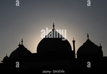 Drei Kuppeln der Moschee gegen das Licht, Taj Mahal, Agra, Uttar Pradesh, Indien, Asien Stockfoto