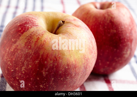 rote Äpfel Stockfoto