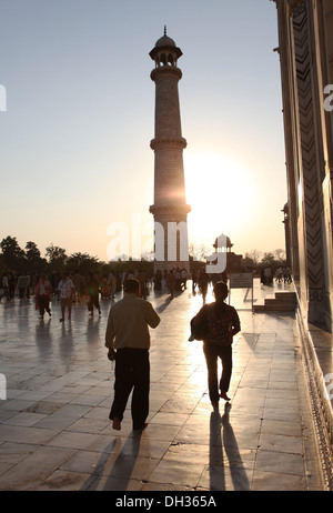 Minarett neben dem Taj Mahal in Hintergrundbeleuchtung, Agra, Uttar Pradesh, Indien, Asien Stockfoto