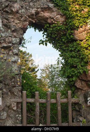 Eine überwucherte Tür in einem verfallenen Schloss Stockfoto