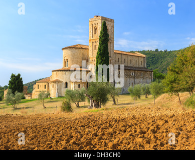 Die Abtei Sant'Antimo ist ein ehemaliges Benediktinerkloster in der Comune von Montalcino, Toskana, Mittelitalien Stockfoto