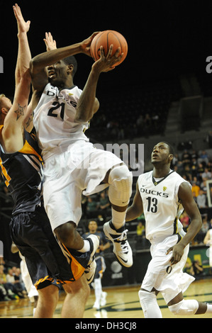 Damyen Dotson, U O, Enten, Basketball, Flug, NCAAB, Matthew Knight Arena, springen, Stockfoto