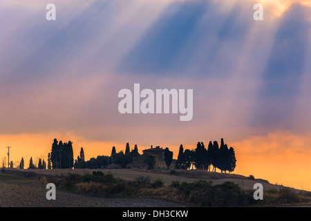 Haus mit den berühmten Zypressen im Herzen der Toskana, in der Nähe von Pienza, Italien Stockfoto