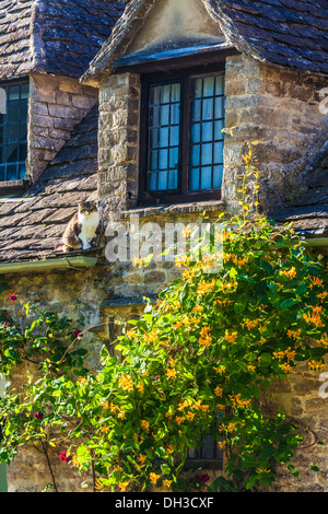 Eine Katze sitzt auf dem Dach eines der berühmten Weber Ferienhäuser in Arlington Row, Bibury. Stockfoto