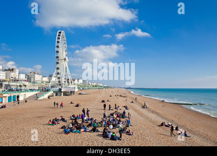 Riesenrad am Strand von Brighton Beach West Sussex England UK GB EU Europa Stockfoto
