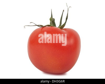 frische rote Tomate isoliert auf weißem Hintergrund Stockfoto