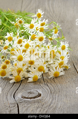 Kamillenblüten auf Holztisch Stockfoto