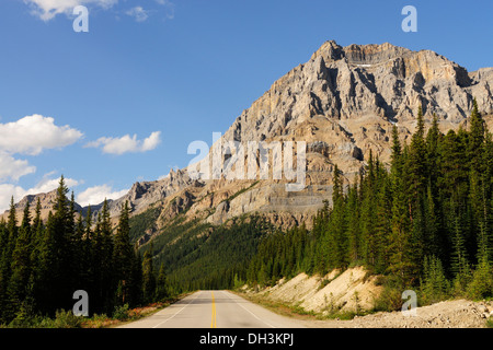 Der Icefields Parkway durch die Rocky Mountains, Banff Nationalpark, Alberta Provinz, Kanada Stockfoto