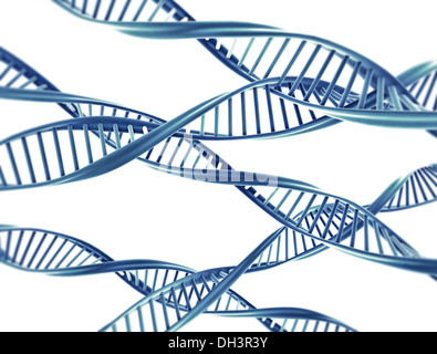 Doppel-Helix DNA-Fäden isoliert auf weißem Hintergrund Stockfoto