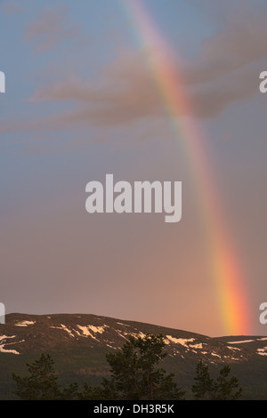 Regenbogen über dem Berg Dundret, Schweden Stockfoto