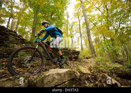 Ein Mountainbiker fährt mit einem Wald Trail System Blowing Springs Park in Bella Vista, Arkansas. Stockfoto