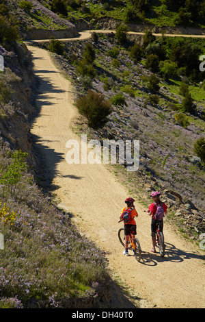 Mountainbiker auf Roxburgh Schlucht Rad- und Wanderweg, Central Otago, Südinsel, Neuseeland Stockfoto