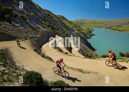 Mountainbiker und wilder Thymian in Blüte auf Zick-Zack-Abschnitt von Roxburgh Schlucht Rad- und Wanderweg, Central Otago, Neuseeland Stockfoto