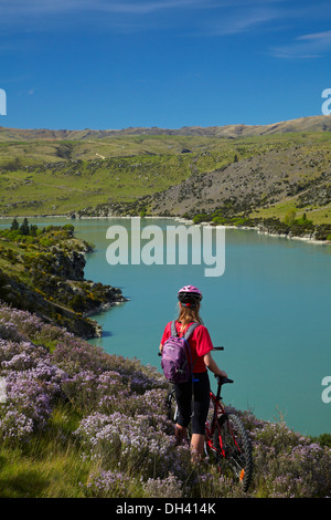 Mountainbiker über Lake Roxburgh auf Roxburgh Schlucht Rad- und Wanderweg, Central Otago, Südinsel, Neuseeland Stockfoto