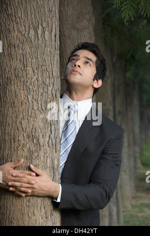 Geschäftsmann umarmt einen Baum Stockfoto