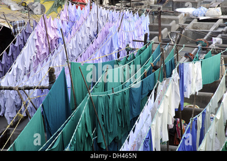 Kleidung trocknen bei Wäscheservice dhobi Ghat in Mahalaxmi in Mumbai Maharashtra Indien Stockfoto