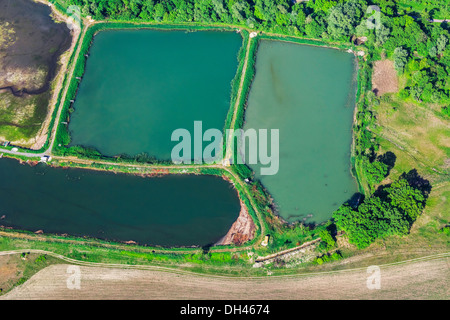 Fischteich - Luftbild Stockfoto