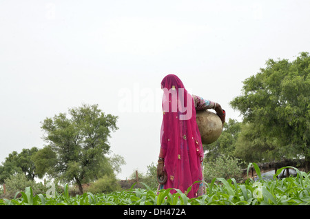 Indische Frau, die die irdenen Topf Wasserkrug in Bereichen Jodhpur Rajasthan Indien Asien Stockfoto