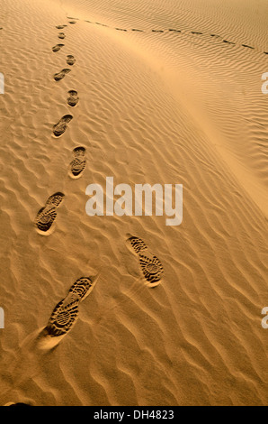 Fuß Schuhabdrücke auf Wüste sand Rajasthan Indien Asien Stockfoto