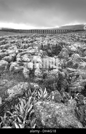 Blick über Kalkstein Bürgersteige und die Ribblehead-Viadukt der Settle auf Carlisle Railway, North Yorkshire, England, UK Stockfoto