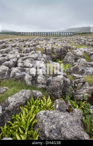 Blick über Kalkstein Bürgersteige zu dem Ribblehead-Viadukt auf der Settle zu Carlisle Railway, North Yorkshire, England, UK Stockfoto