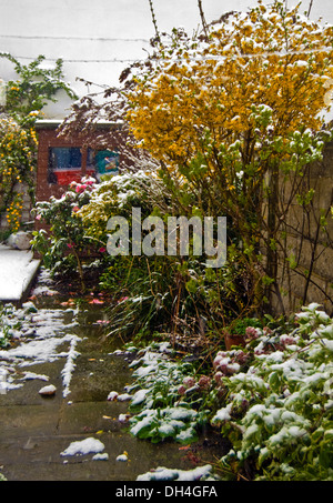 Frühlingsschnee fiel auf den offenen Blüten im Garten Stockfoto