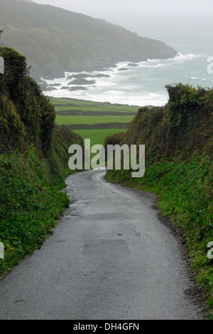 Landstraße in der Nähe von Boswinger, Cornwall, England, UK Stockfoto