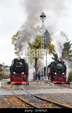 Eine Dampflok zieht einen Personenzug auf die Harz-Bergbahn auf den brocken Stockfoto