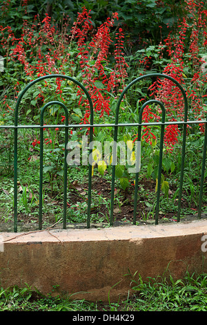 Zaun und Blumen Kamala Nehru Park Malabar Hill Grant Road Mumbai Maharashtra Indien Asien Stockfoto