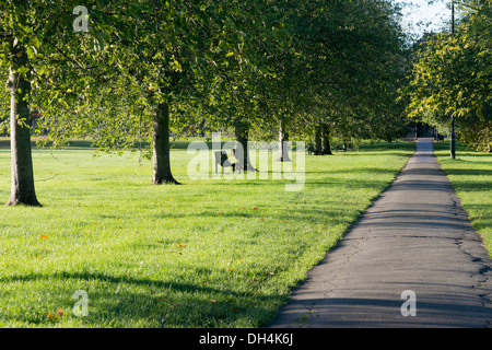 Ein Pfad, gesäumt von Bäumen über Jesus Green Cambridge UK in herbstliche Morgensonne Stockfoto