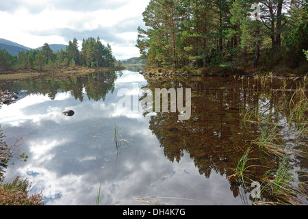 Loch ein Eilein Speyside-Schottland Stockfoto