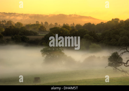 Surrey Hills, Box Hill Sonnenuntergänge Stockfoto