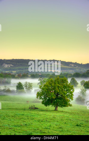 Surrey Hills, Box Hill Sonnenuntergänge Stockfoto