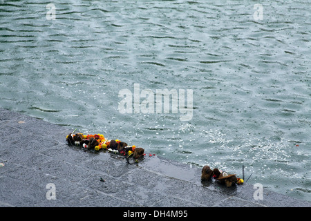 Gebet-Blumen im Regen an Banganga Wasser tank Walkeshwar Mumbai Maharashtra Indien 2012 Stockfoto